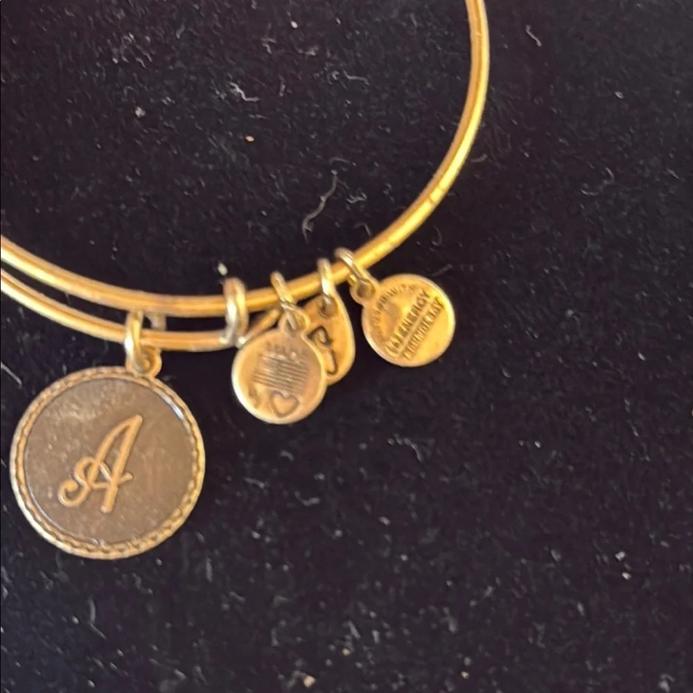 Alex and Ani Gold Charm Bracelet